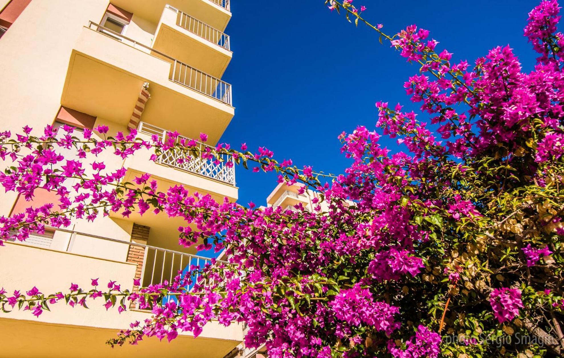 426 Estudio En Minerva Apartamentos - Vista Al Jardin - Piscina Y Playa Benalmadena Ngoại thất bức ảnh