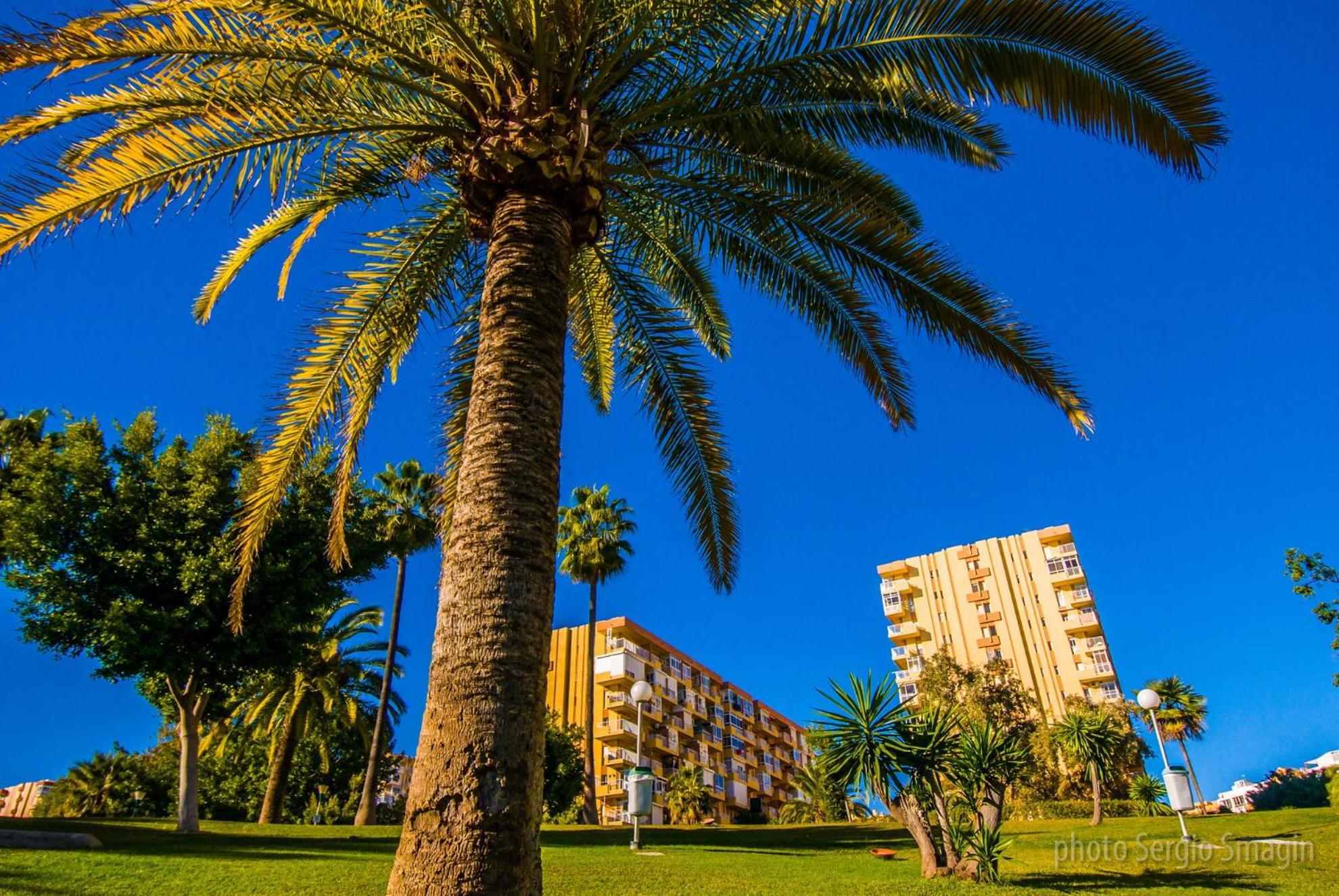 426 Estudio En Minerva Apartamentos - Vista Al Jardin - Piscina Y Playa Benalmadena Ngoại thất bức ảnh